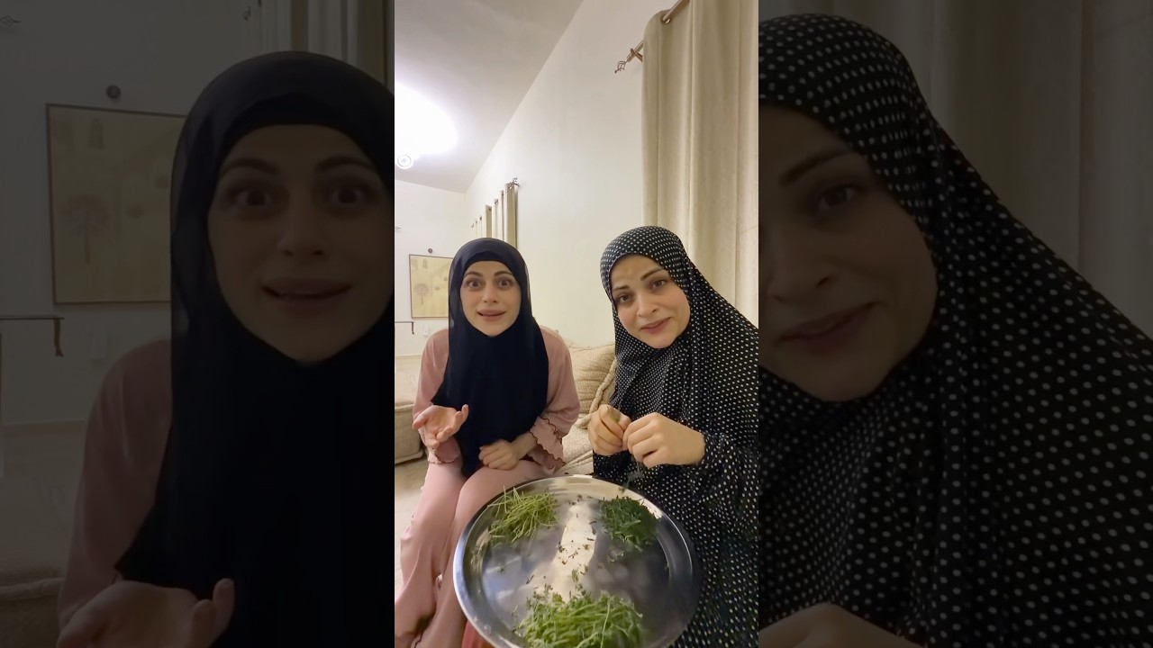 الاب يعرف يحكي تركي وكردي😂😂 ام سيف ونانو
