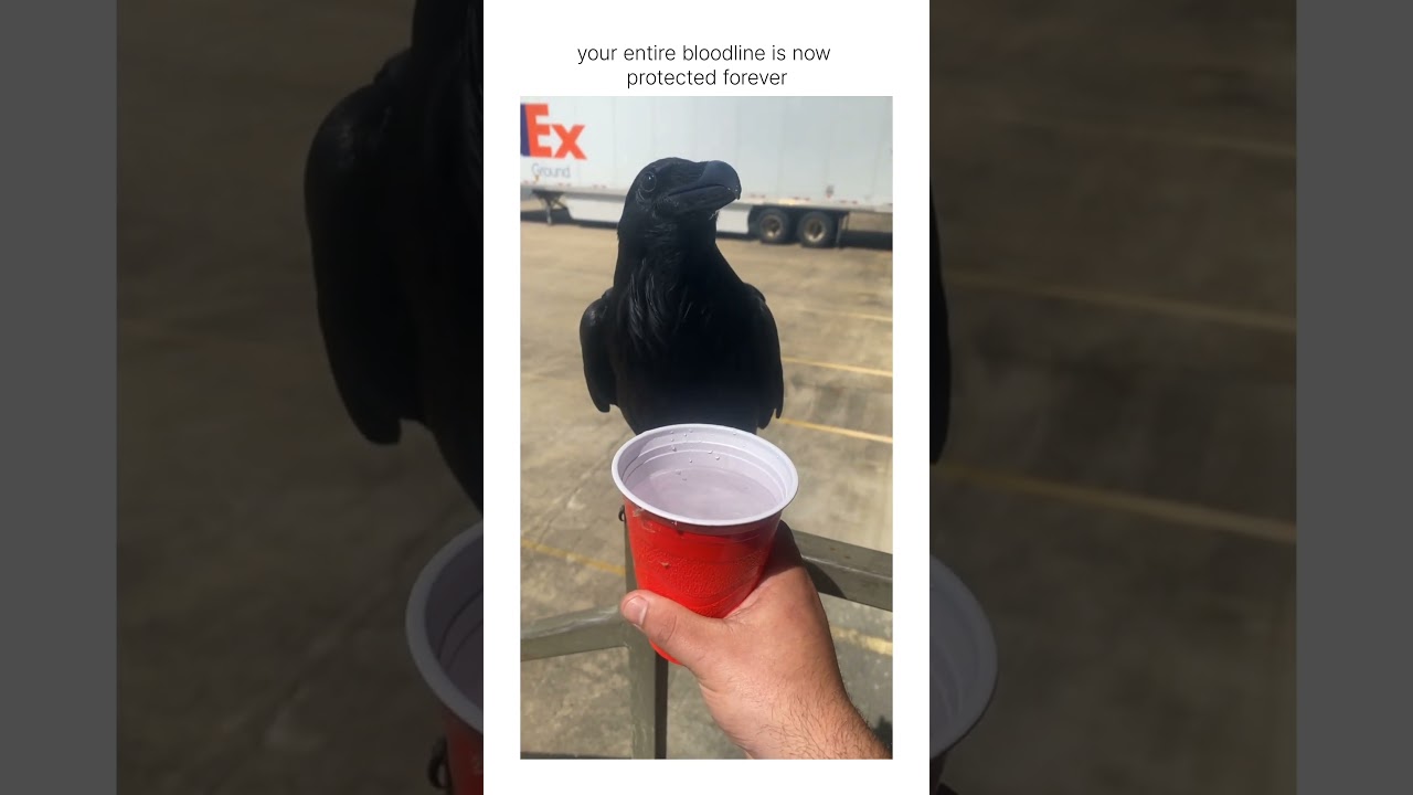 bro is downloading your face so that he’ll remember you’re friend for life