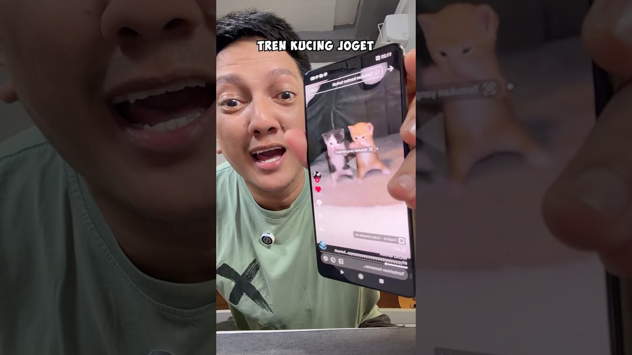 Kucing Mattzett Ikut Tren Joget Kicau Mania