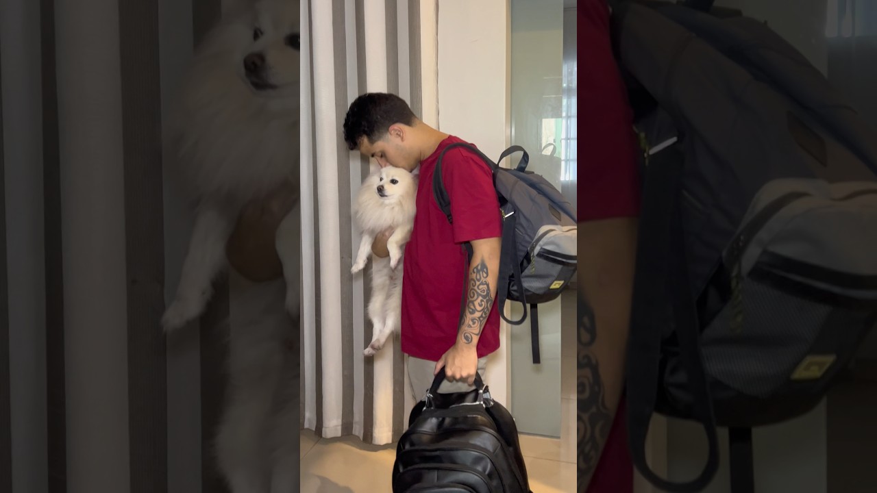 FUI EMBORA DO PAÍS E DEIXEI ELA 😭💔