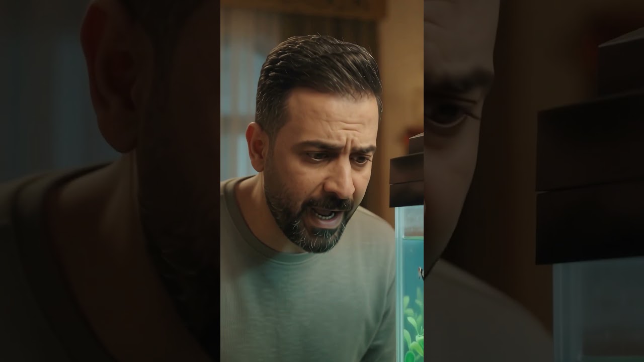 السمش الطفشان من عيشته