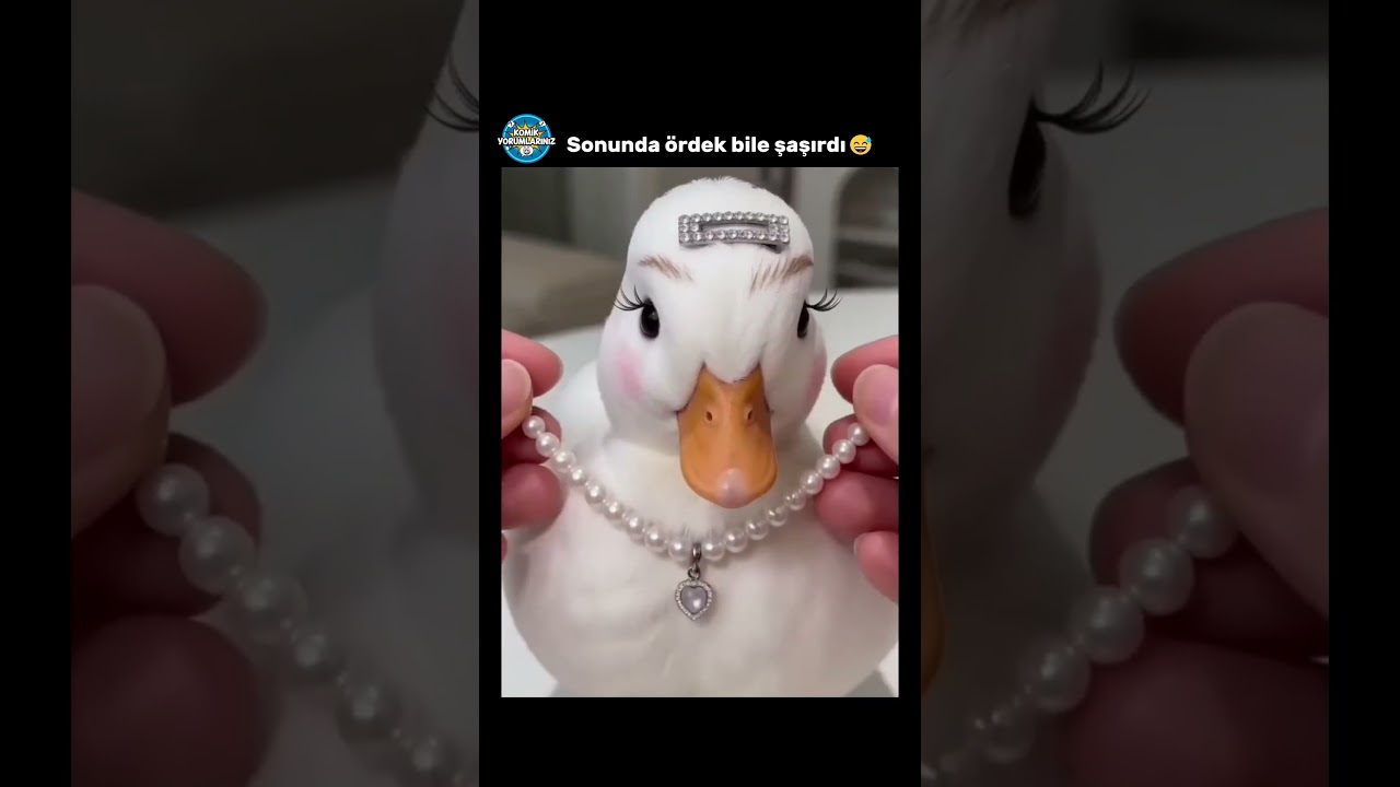 Çok Güzel Oldu😅  #akımvideoları  #komikyorum #komikyorumlar