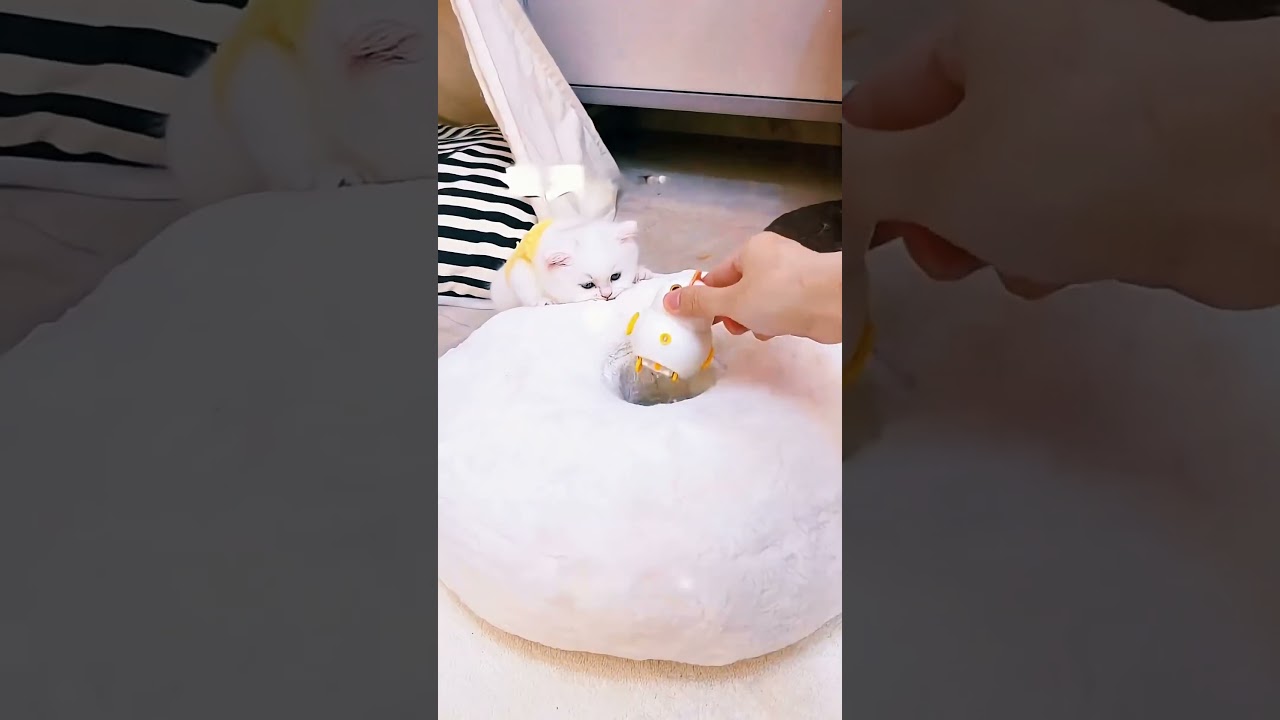 “قصة القطة الصغيرة والدفء المفقود 🐱❄️🧣”