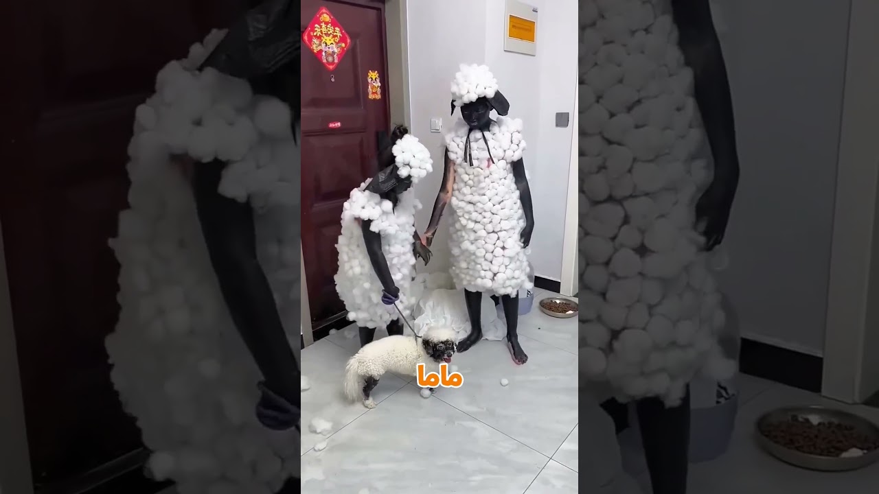 ازاي دخلتو بيتي كده🤔