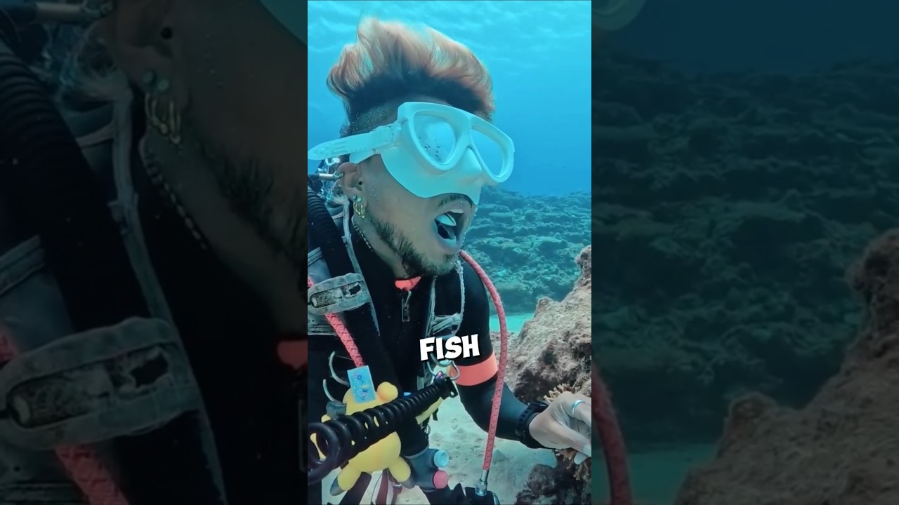 This fish has a very important job