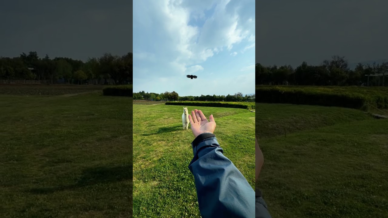 DJI Neo 2: Più che un drone, un cucciolo digitale!