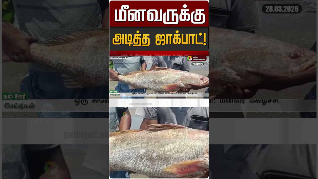 மீனவருக்கு அடித்த ஜாக்பாட்! | Kooral Fish | Rameswaram