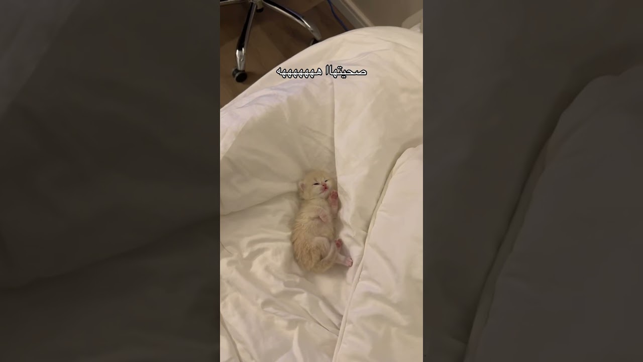 اهخ ما شاء الله