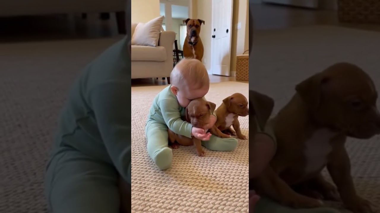 😱 One Bark From Mom Pitbull Stops Everything! 🐕#pets #funny #cat #dog #animals