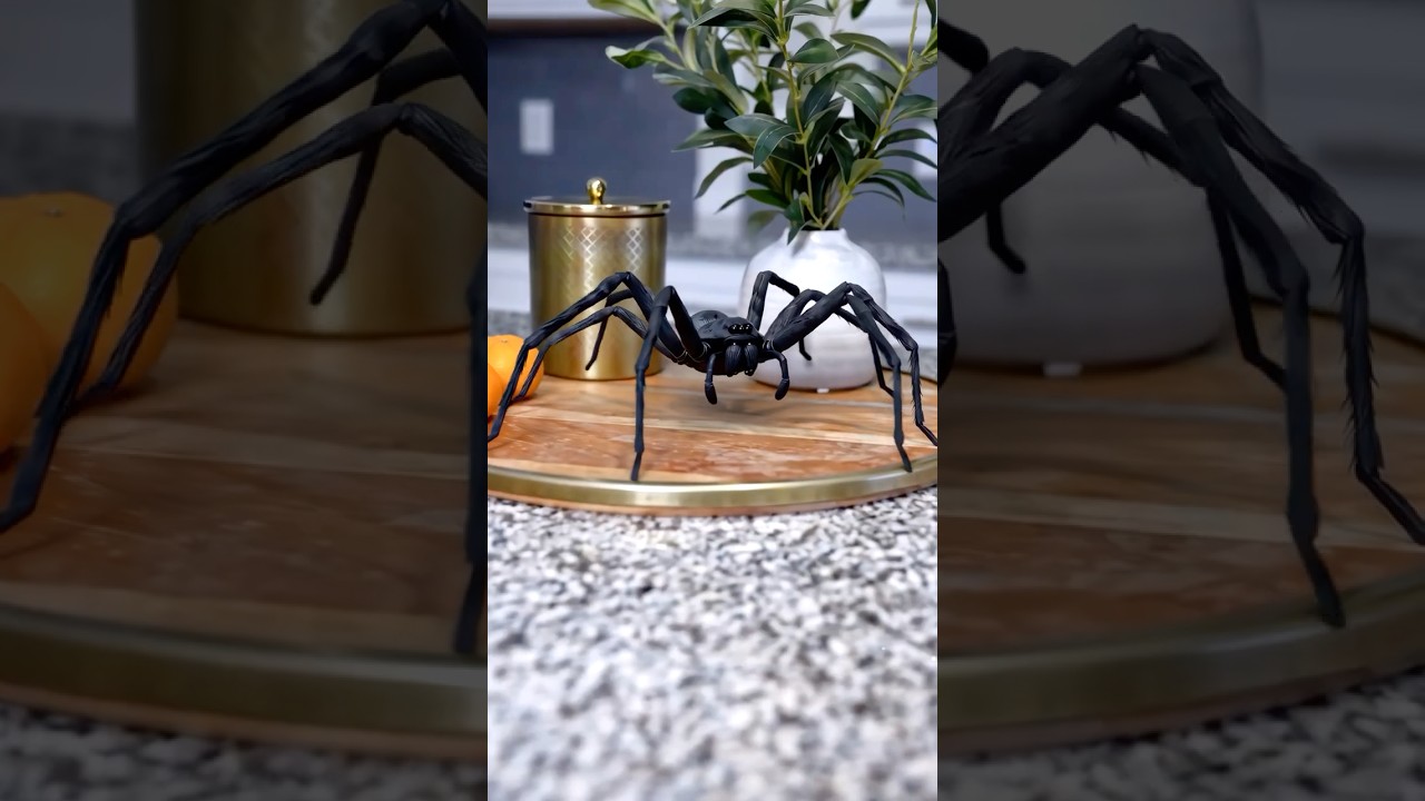 A ARANHA GIGANTE!!!
