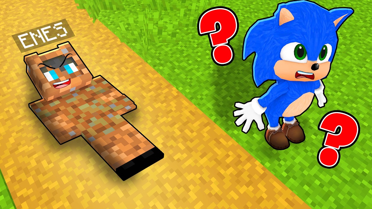 ENES VE BEBEK SONİC KAMUFLAJLI SAKLAMBAÇ OYNADI 😱 Minecraft