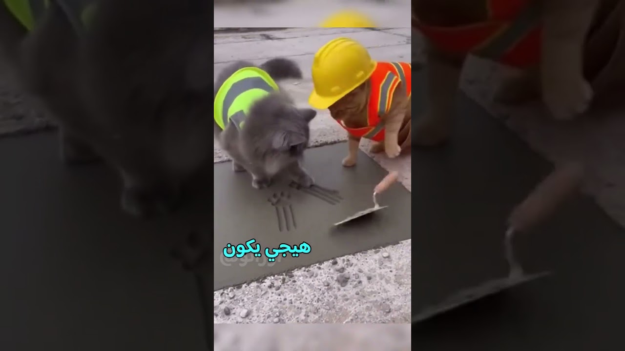 #foryou #العراق #saudiaarbia #دبلجة #fyp خطتنا مال البنيان