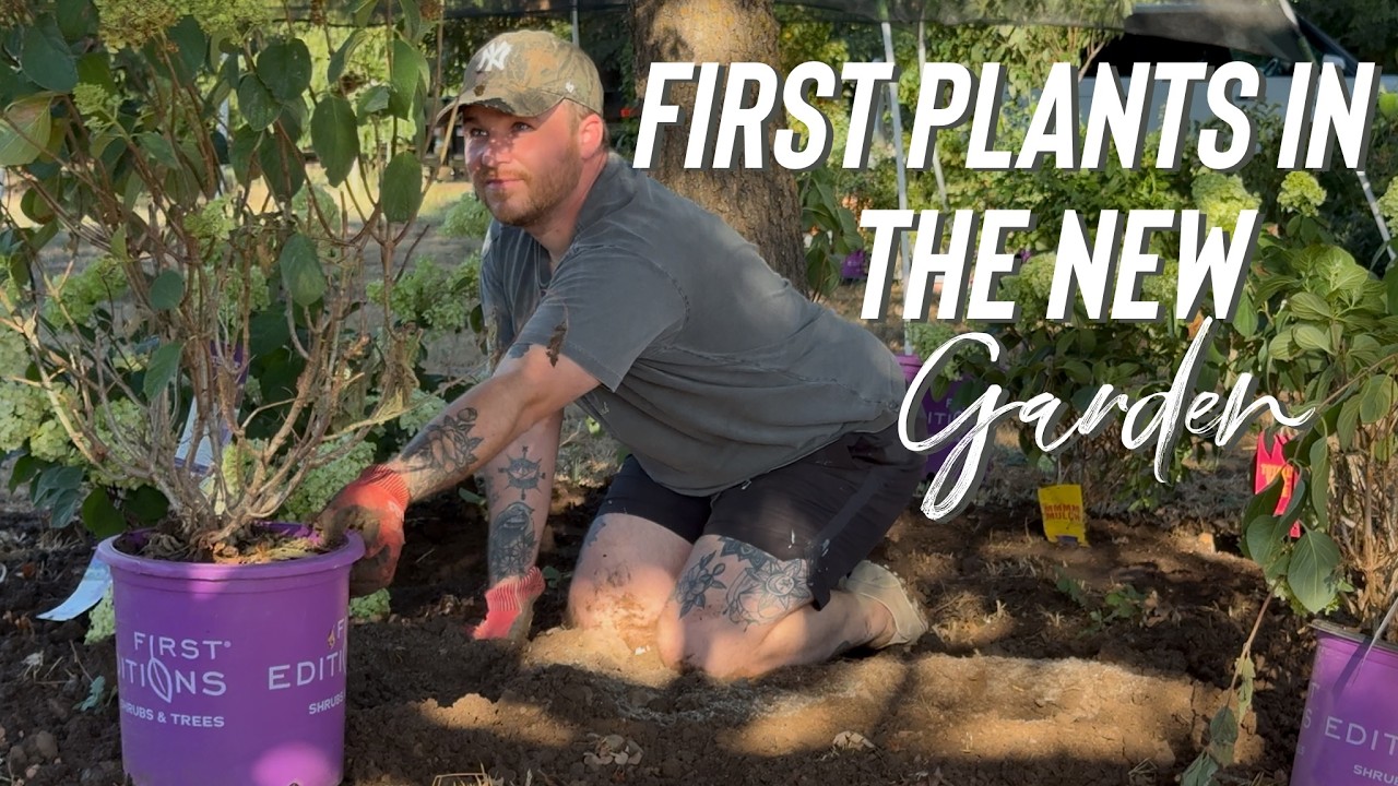 Moving Over The Garden & Officially Starting The New One 