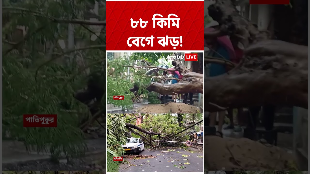 ৮৮ কিমি গতিবেগে ঝড়ের সাক্ষী থাকল শহর ও জেলা | #shorts #abpananda