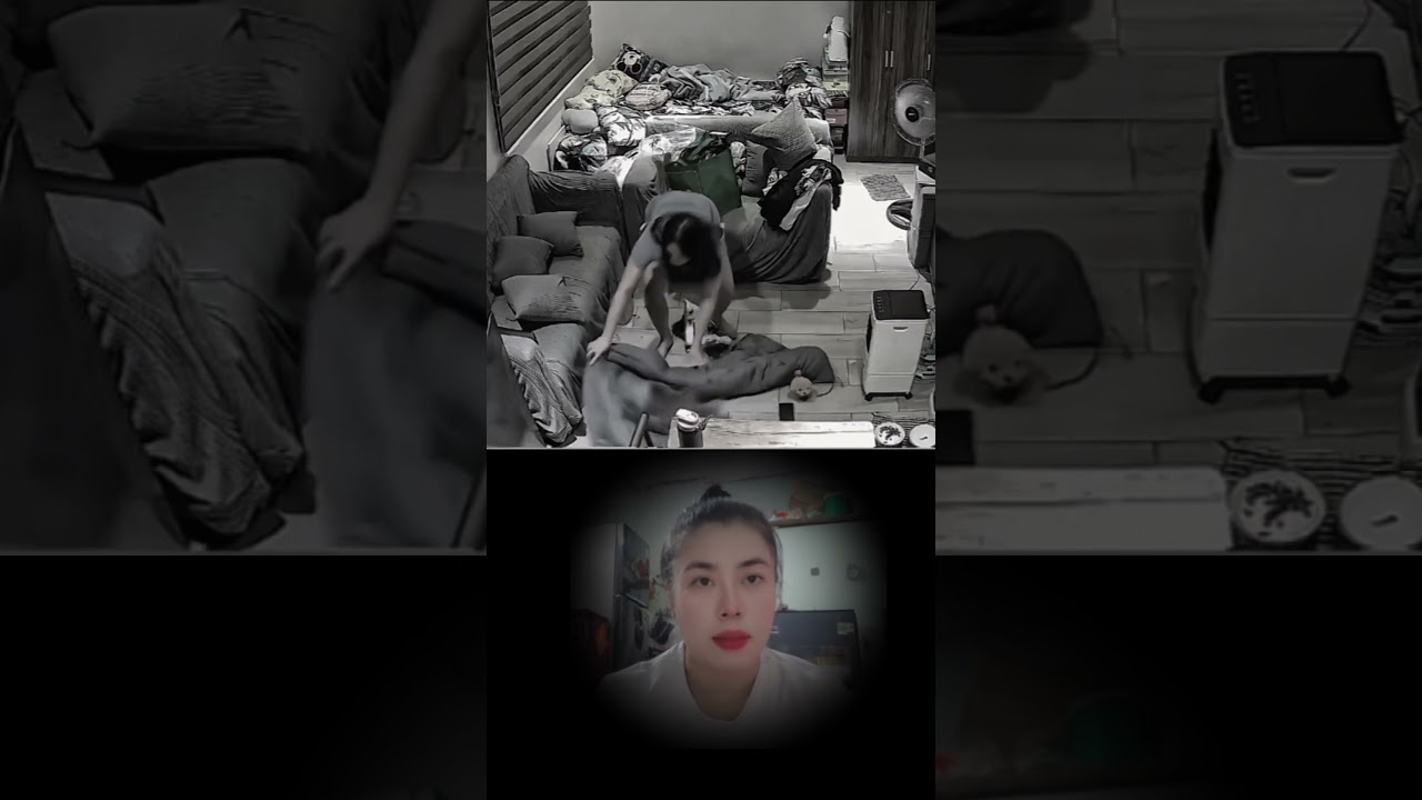 cat videos#shortvideo  #anmals #funny#cat