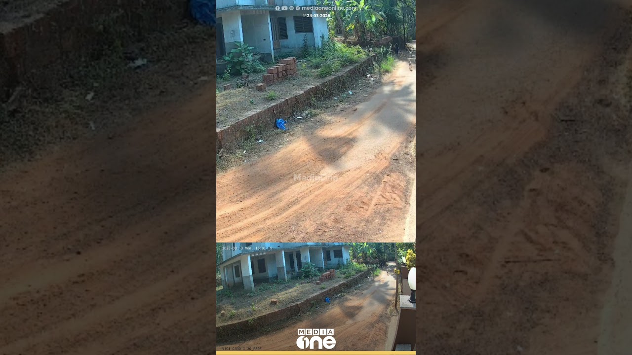 അയ്യോ... ഒന്നും ചെയ്യല്ലേ...