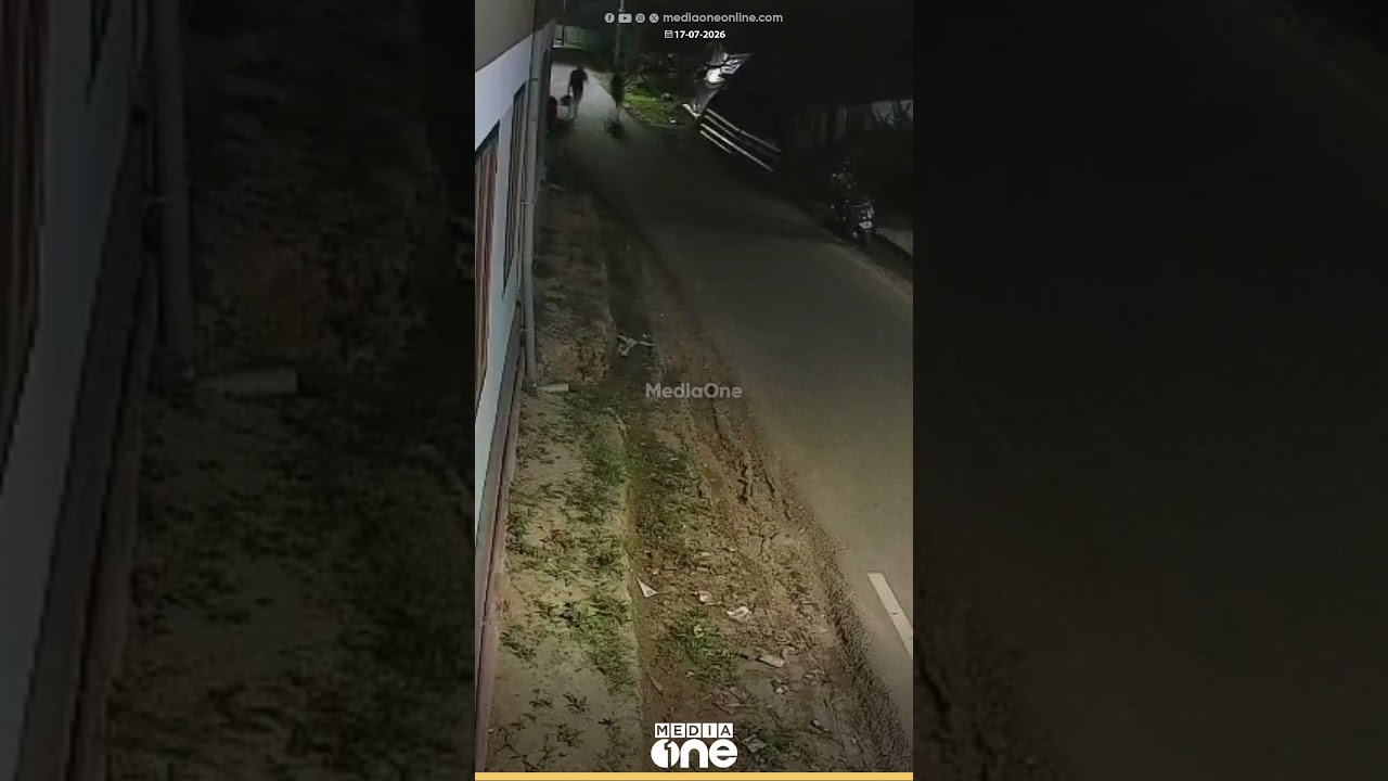ബൈക്ക് എറിഞ്ഞിട്ട് ഓടി; കാട്ടാനയുടെ മുന്നിൽപ്പെട്ട് ജനങ്ങൾ; ​ഗൂഡല്ലൂരിൽ നിന്നുള്ള ദൃശ്യങ്ങൾ