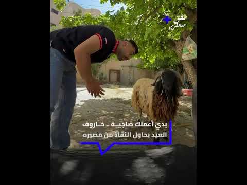 أجواء العيد لا تكتمل إلا بلقطاتها العفوية