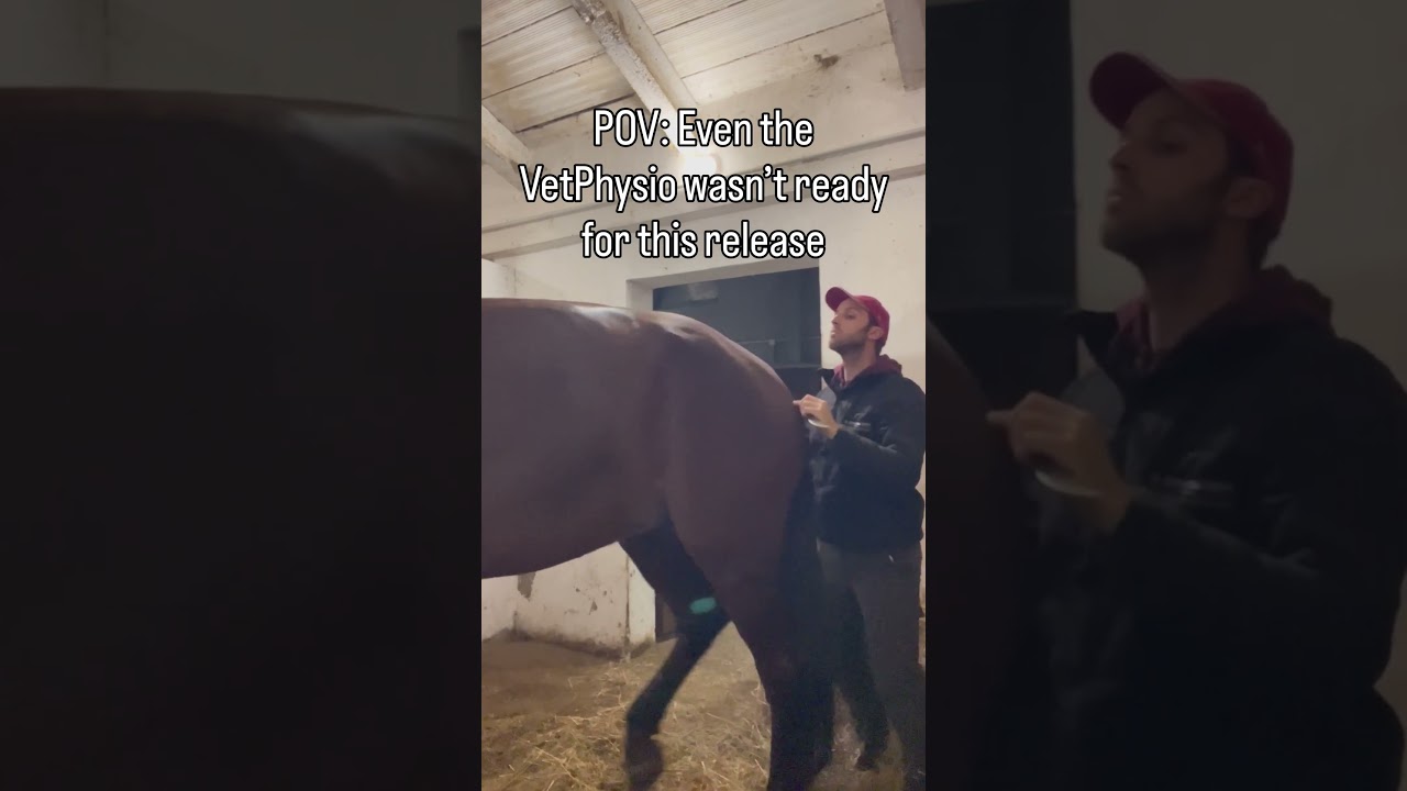 I was SHOCKED by this Back Crack! 🤯🔊 #asmr #backcrack - Published by BartVetPhysio