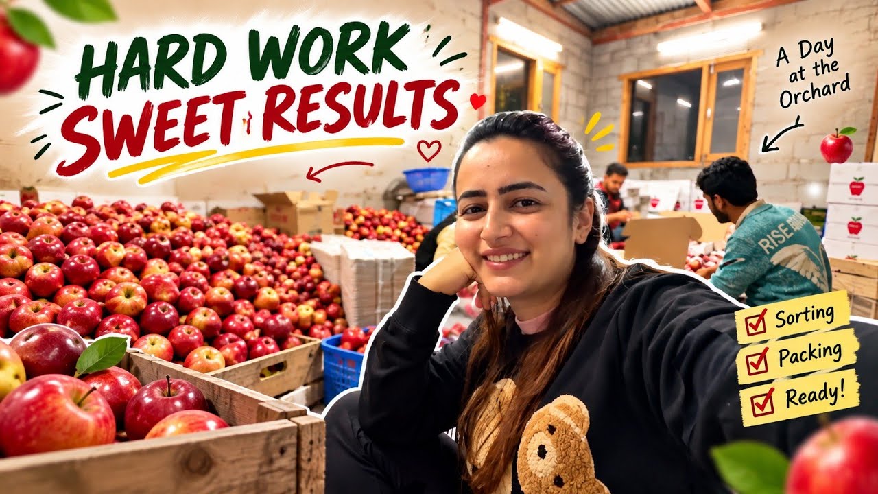 A Day At Our Apple Orchard || Jyotika and Rajat