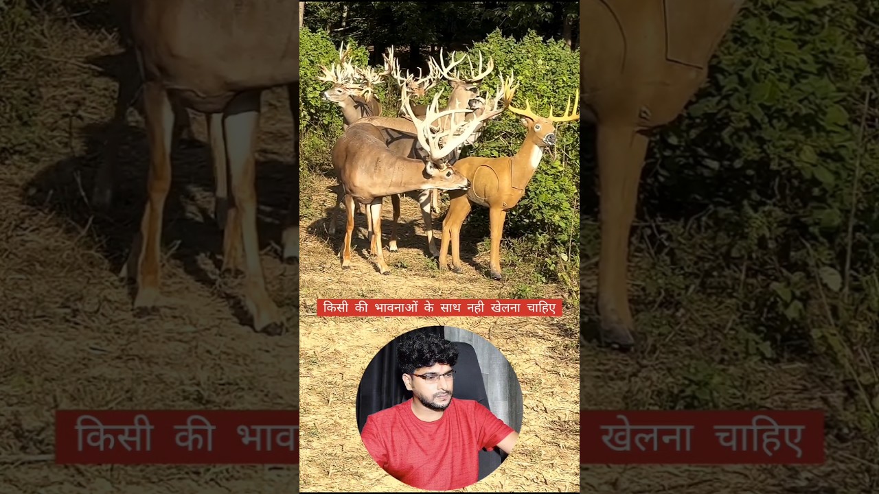 Deer 🦌 #rituljat #funny #funnycomedy #comedy #comedyshorts #memes #deer #wildlife #comedyvideos
