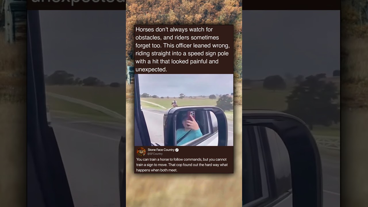 Horses don't always watch for obstacles, and riders sometimes forget too. This officer leaned wrong, - Published by Stone Face Country