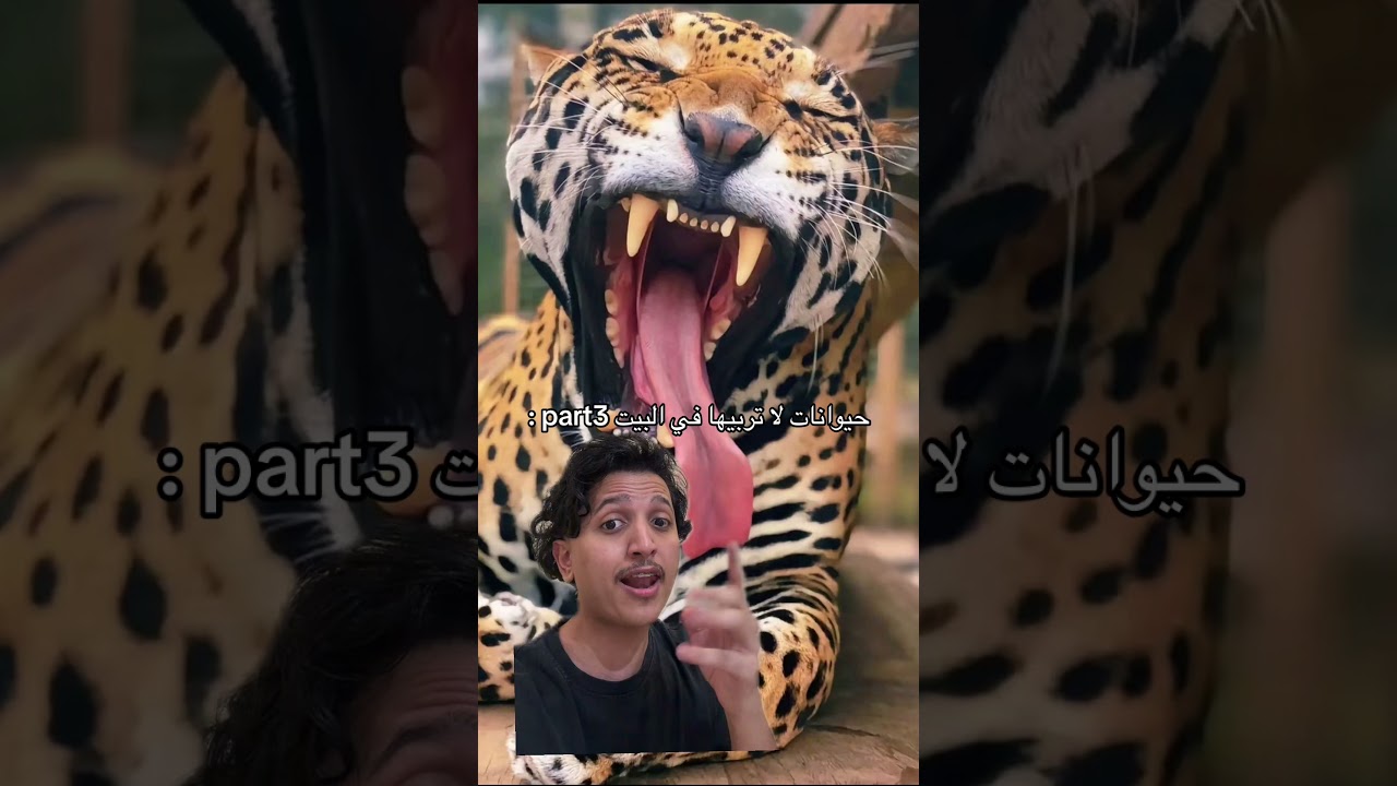 ٢٩ أغسطس، ٢٠٢٦