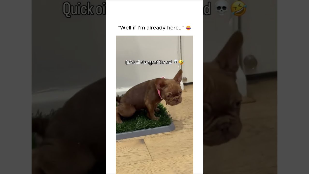 "Well if I’m already here..."