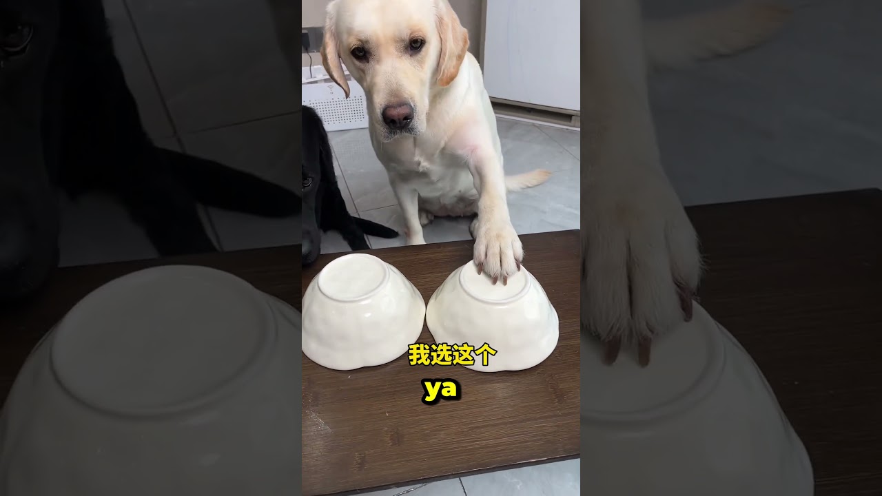 Ona Var Bana Yok!