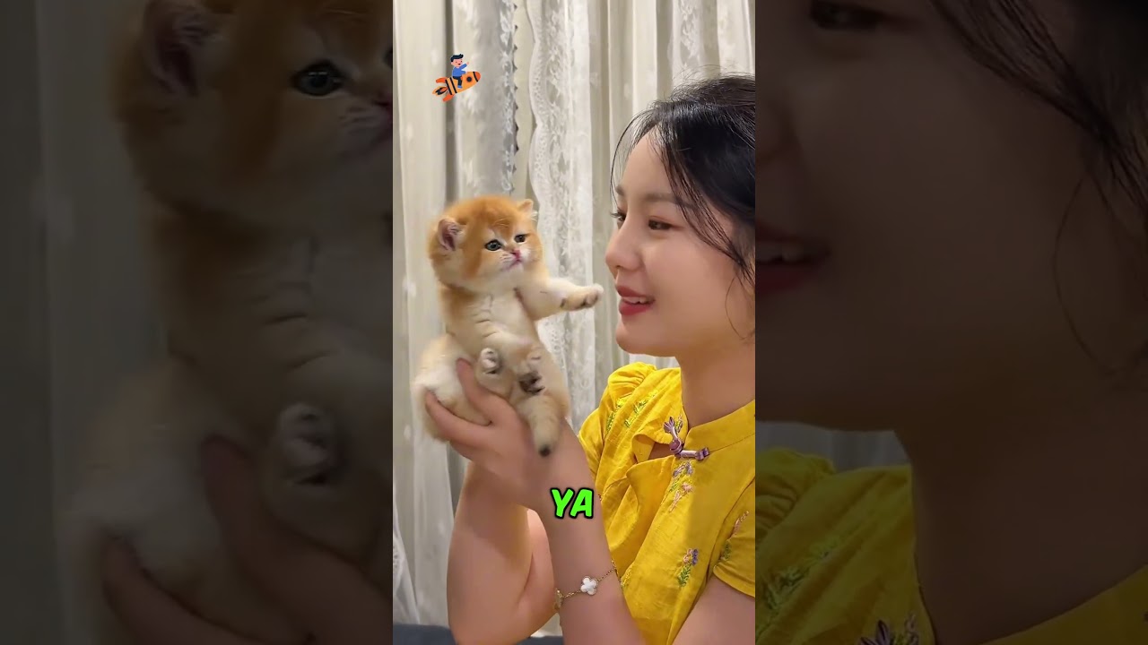 Minnoş Kedi..❗️😊