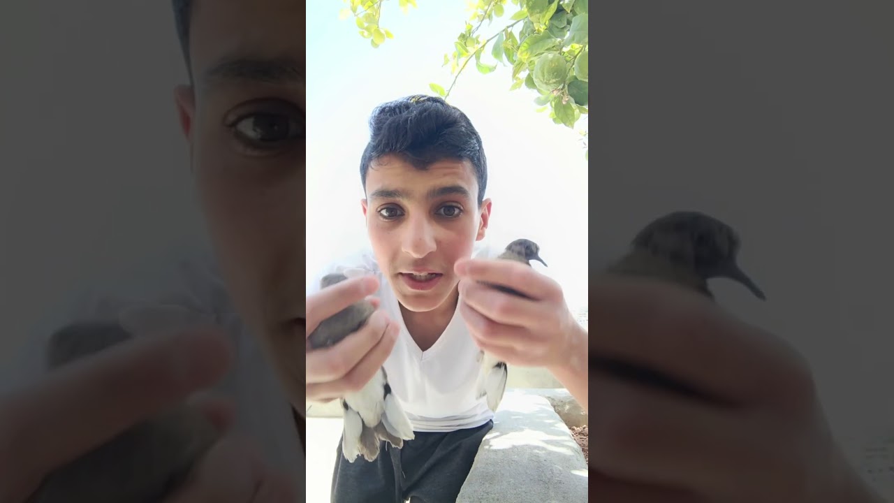 لا تنسى الاشتراك في القناه عشان يوصلك كل شيء جديد