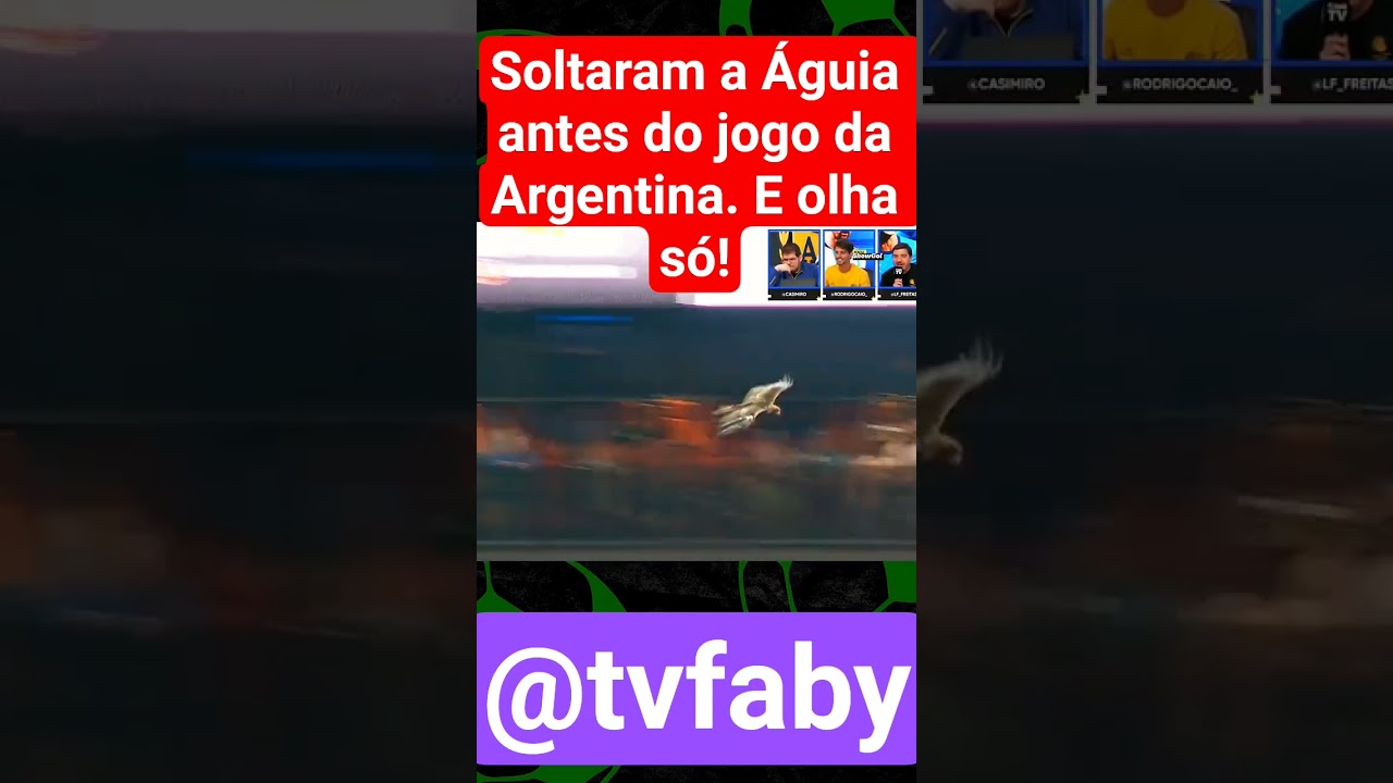 💚VEM VER O VÍDEO. SOLTARAM A ÁGUIA NO INÍCIO DO JOGO DA ARGENTINA. SE INSREVA @tvfaby