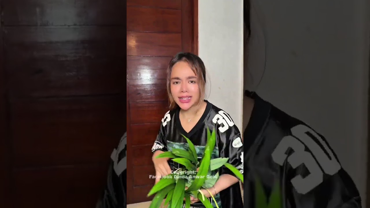 🥴🤣 kabarin kalau fyp!!!!#shorts #funny #comedy  #viral #trending #ngakak