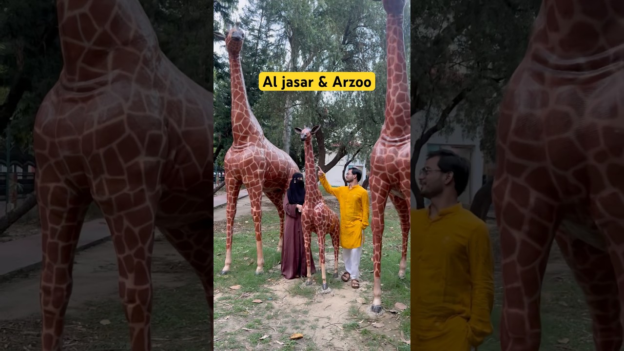 Al Jasar & Arzoo