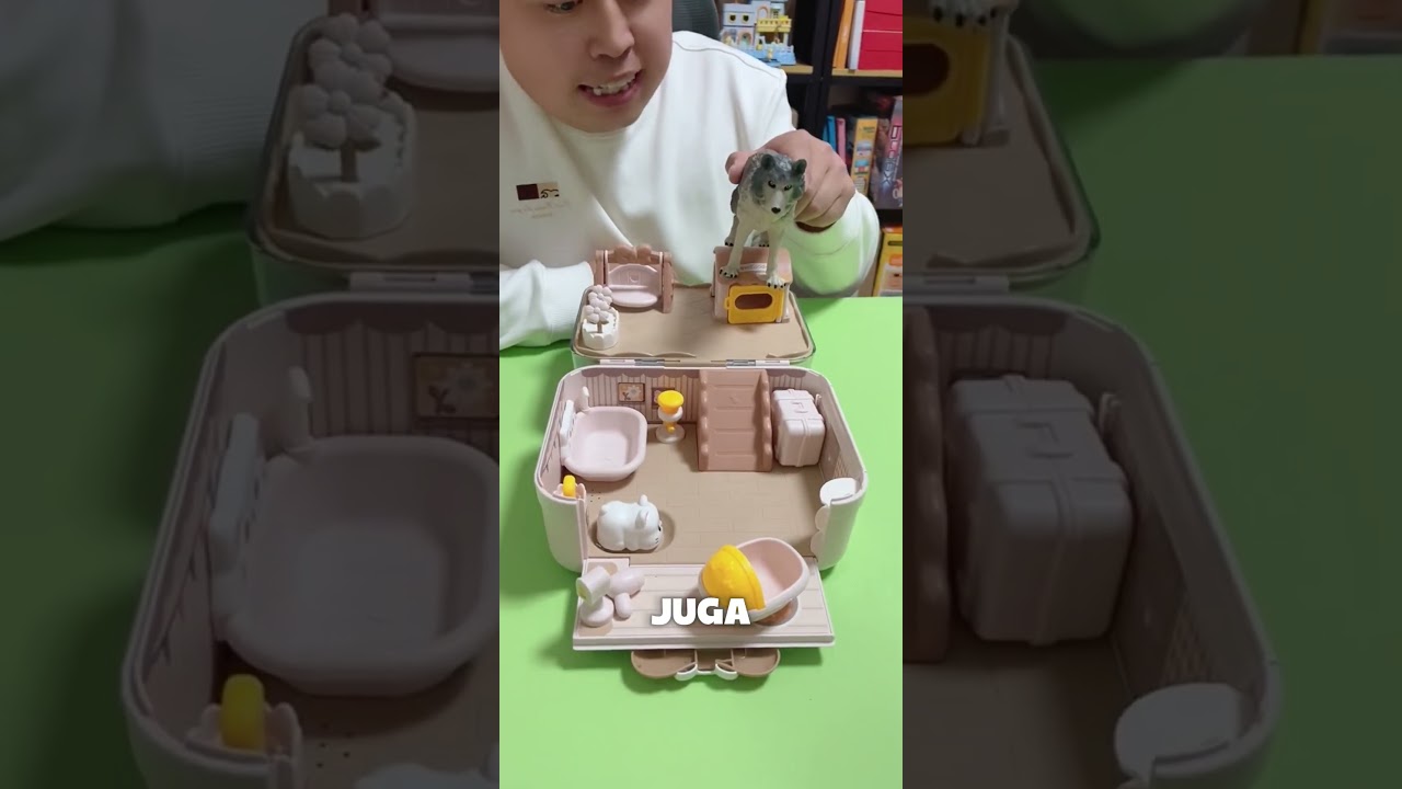 Serigala vs Kucing: Siapa Lebih Hebat?