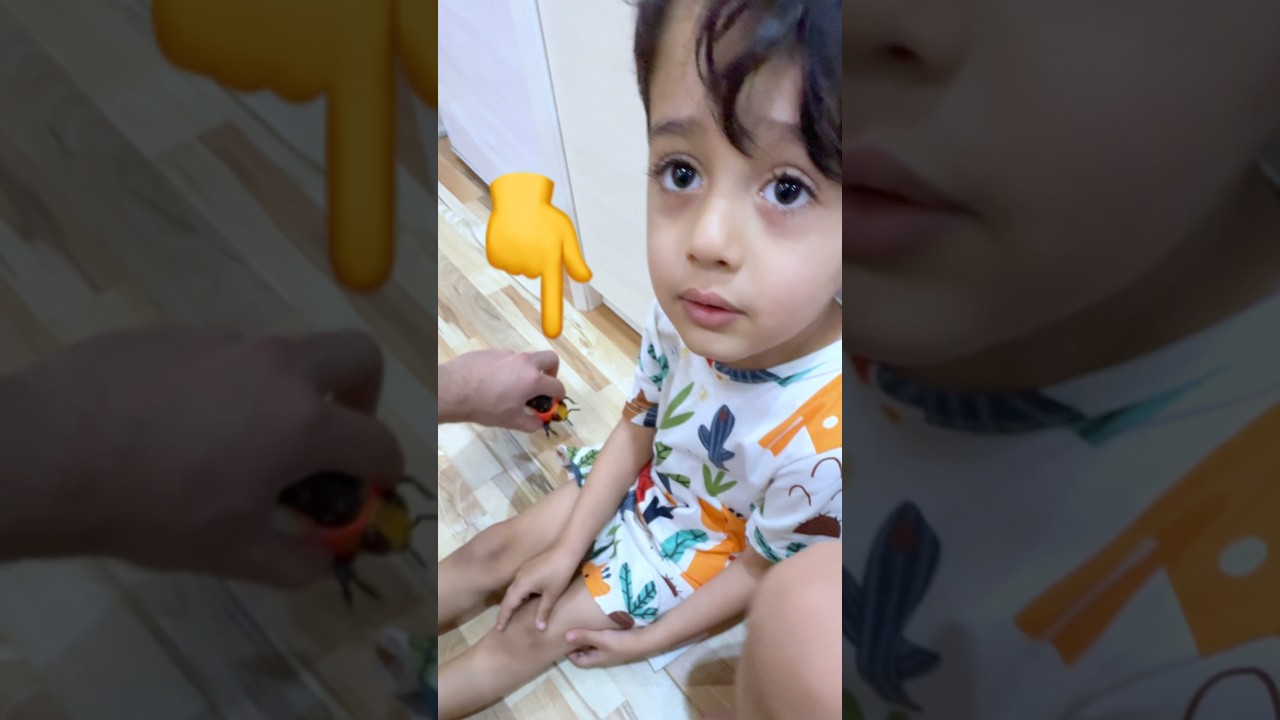 مقلب النحلة بمجودي وجود عضلة 🤣🤣#مجودي #جودي #نتiraq