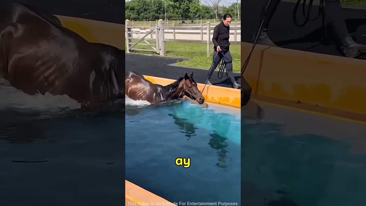Anne Atımı Suya Soktu! 😱🐴💦
