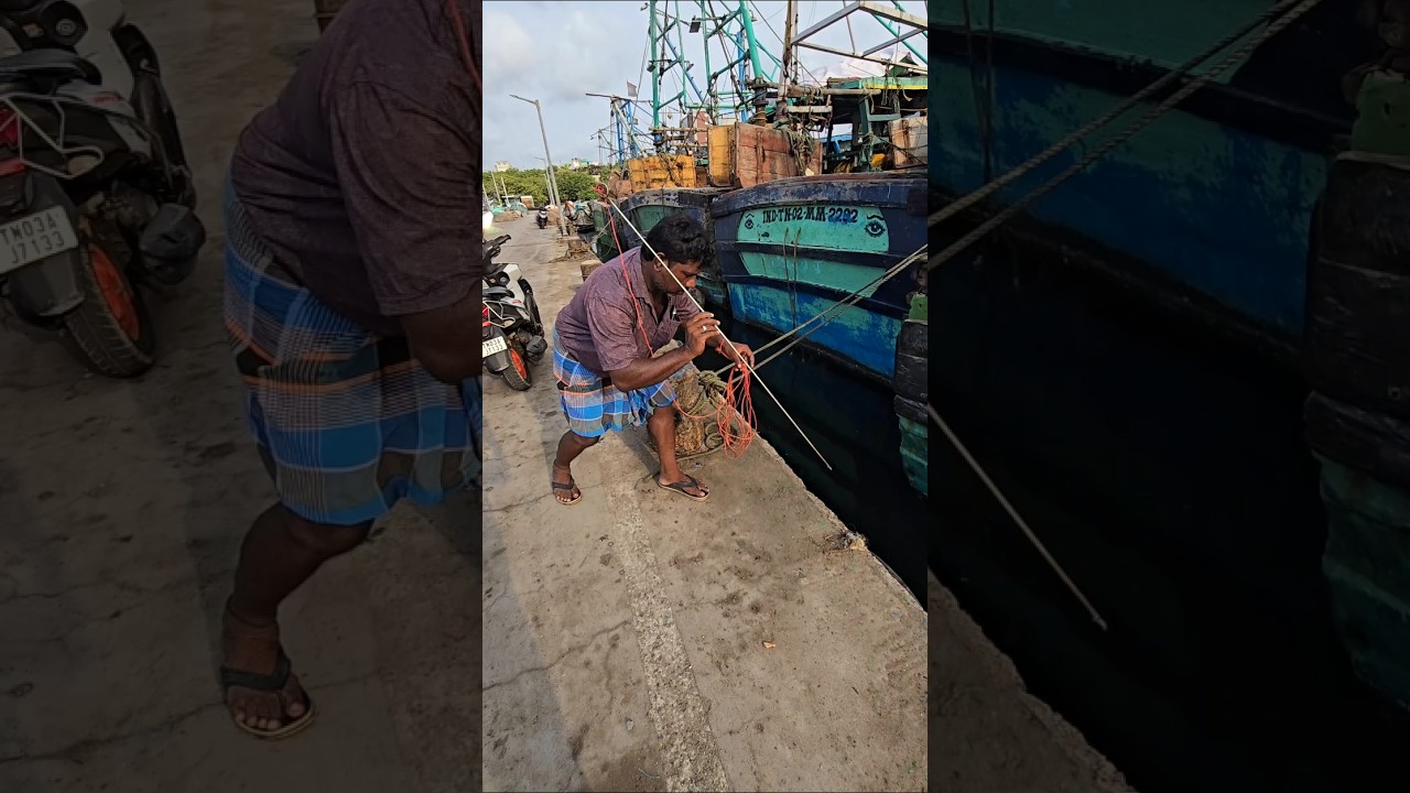 Unbelievable Fishing Idea😲 #fishing #fishingvideos #thoondilulagam #seafishing