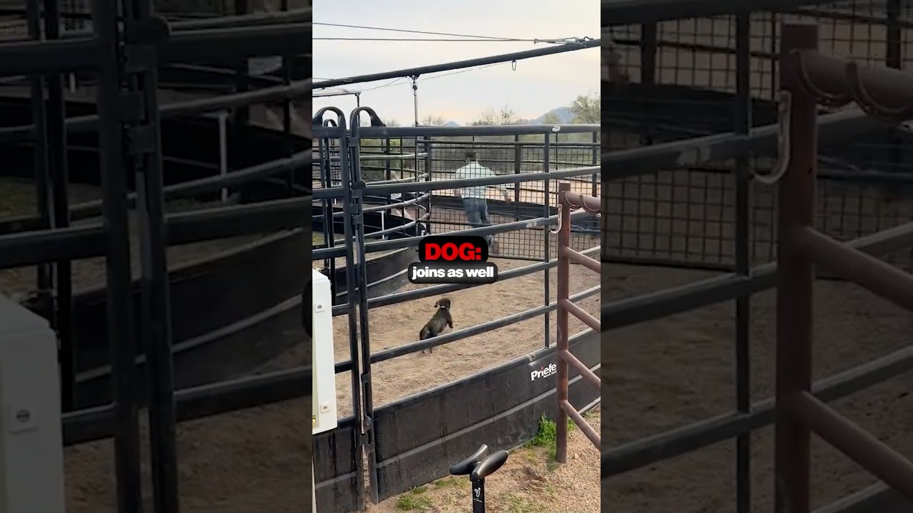 Being Small Saved Him 😱