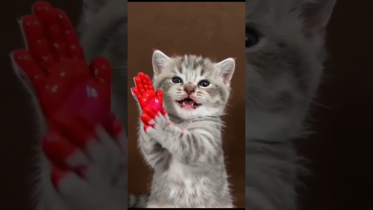 اكااا سينوو 😂 | لعبة الحبار #squidgame 🔥