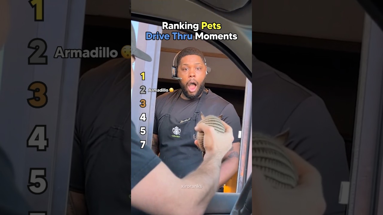 Ranking Pets Drive Thru Moments - Published by Xiro Ranks