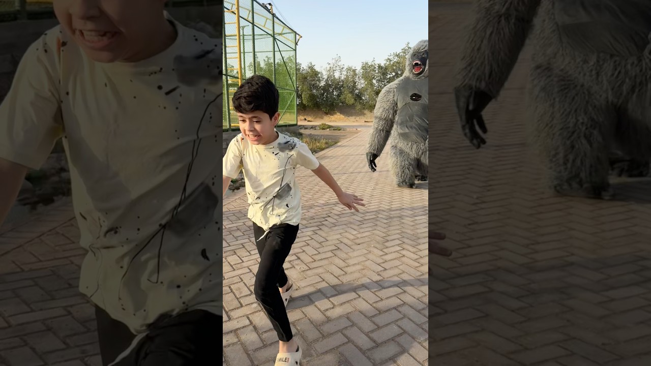 الغوريلا تركض ورا بلونه 🦍😂