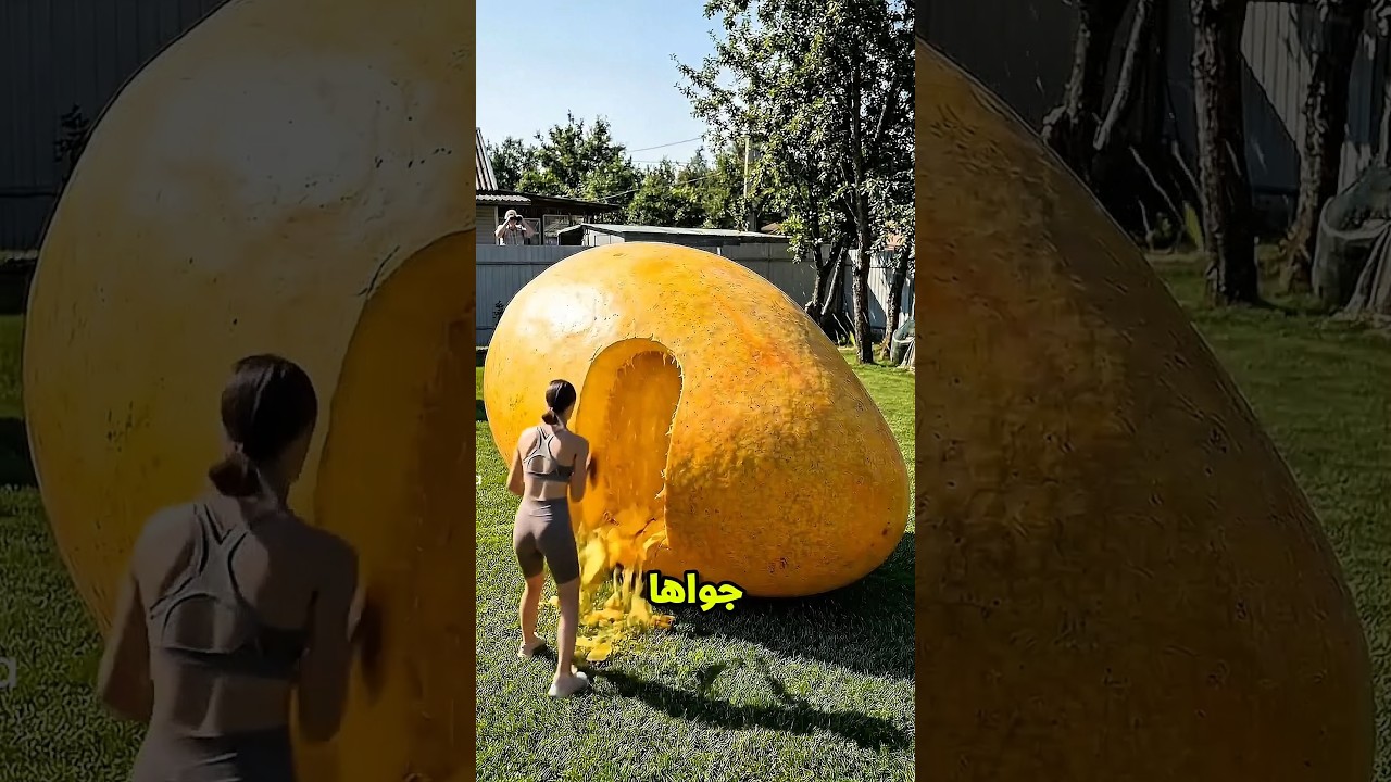 بنت بتشتري مانجاية ضخمة وبتعمل بيت سري جواها😲🍌؟