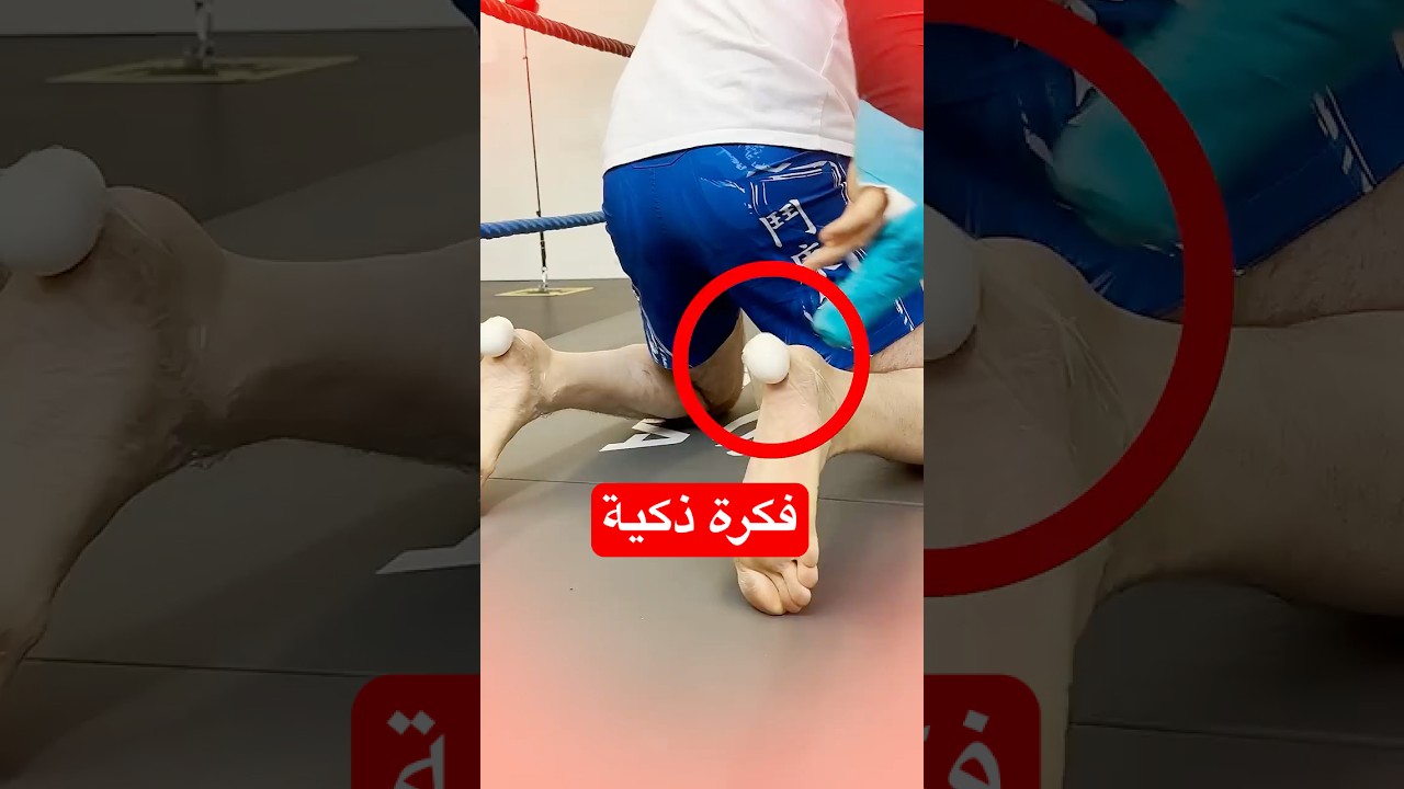 لماذا هذا المقاتل يقف على لعبة LEGO