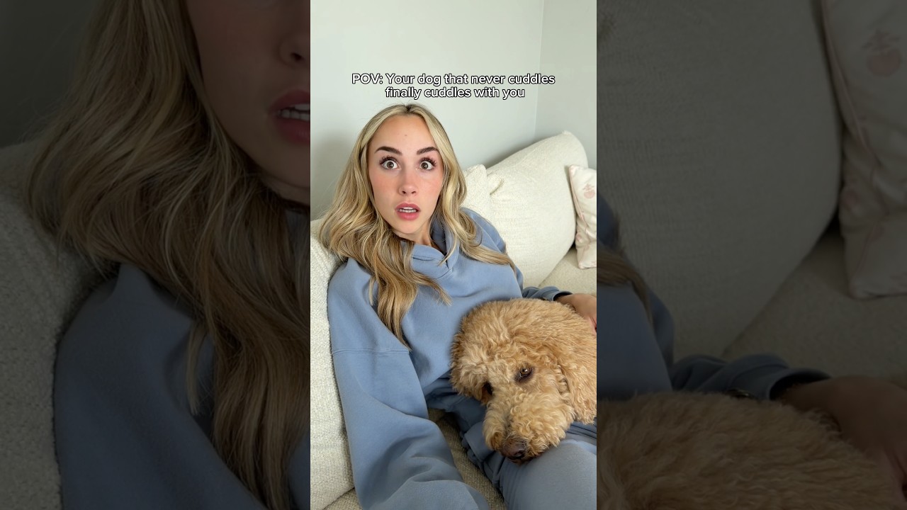 Nobody move. Better yet.. nobody breathe #dogs #dogcomedy