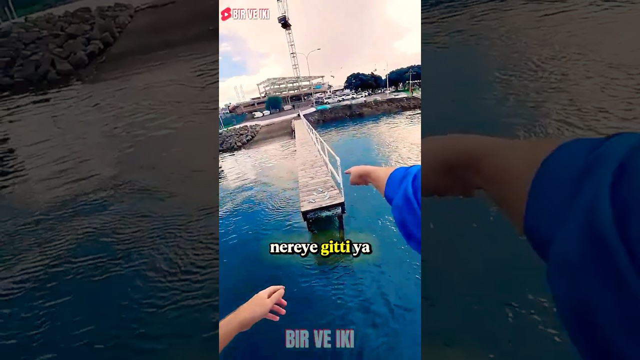 MrBeast Çikolatası İçin Denize Atladı! 😂🍫