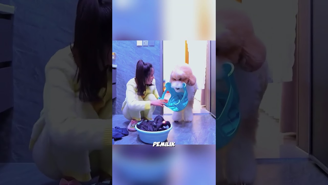 **“Molly: The Dog Who Was Forgotten but Never Stopped Loving”**