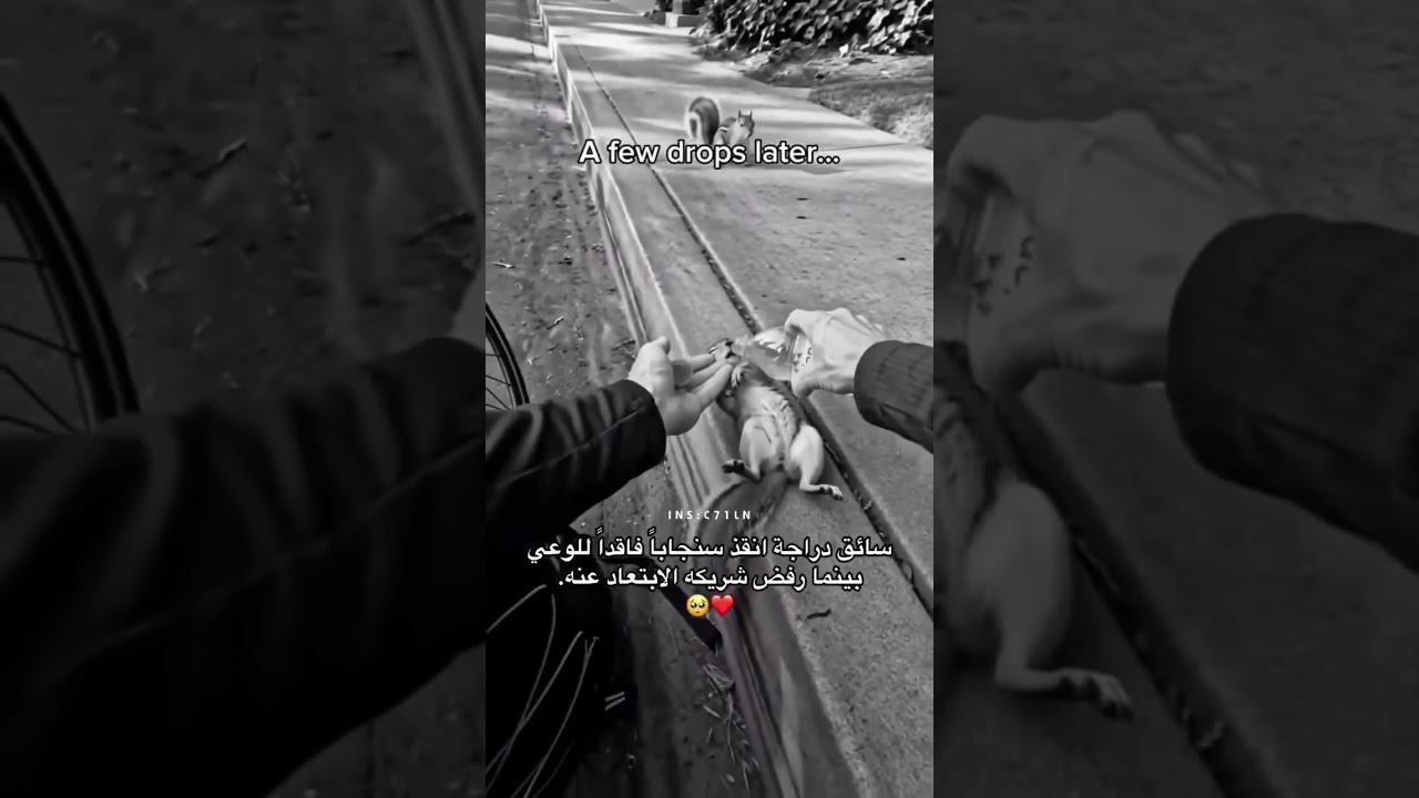 انقذه.   (الإنسانية) اشترك في القناة ليصلك كل جديد وفعل الجرس