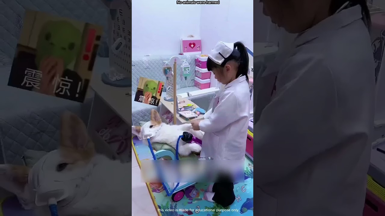 البنت بتحلم أنها تبقي دكتوره