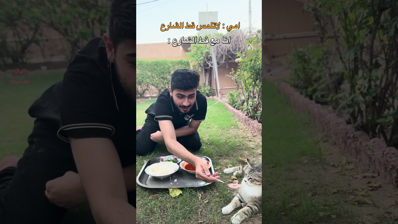 امي لاتلمس قط الشارع أنا مع قط الشارع😂